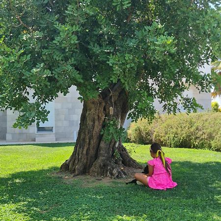 I Mestri Holiday Homes Uggiano la Chiesa Kültér fotó